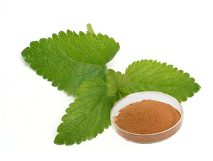 Lemon Balm Extract