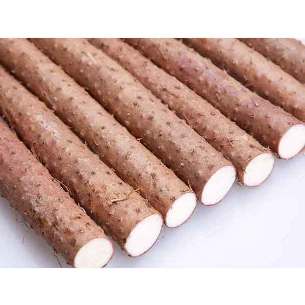 Wild Yam Extract