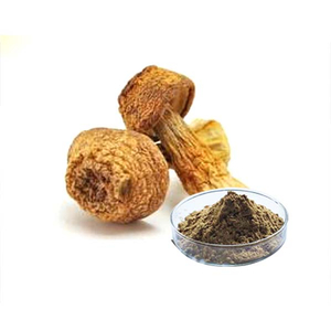 Medical Mushroom Agaricus Blazei Extract