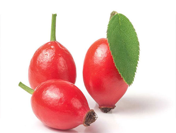 Rosehip Extract