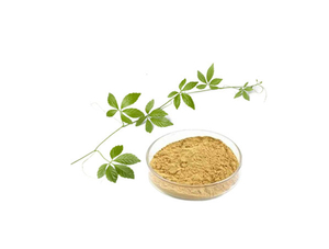 Gynostemma Extract