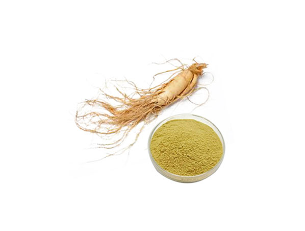 American Ginseng Extract