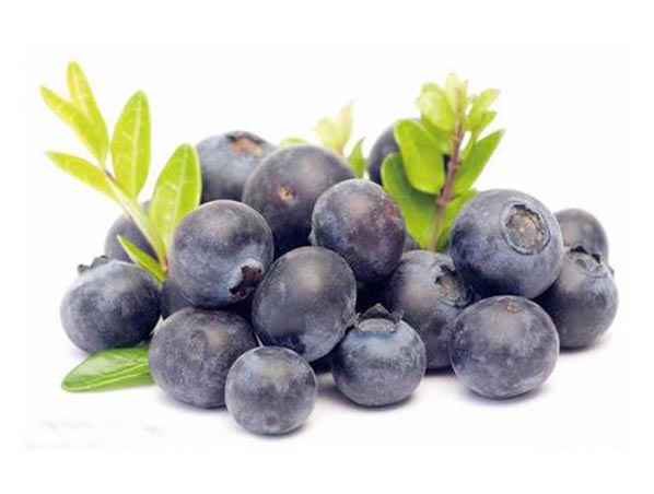 Bilberry Extract 