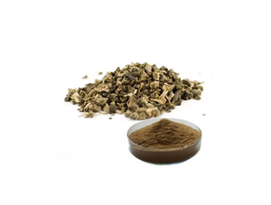 Black Cohosh Extract