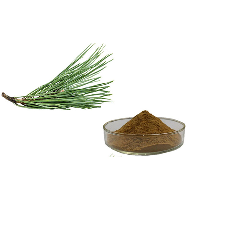 Pine needle extract powder