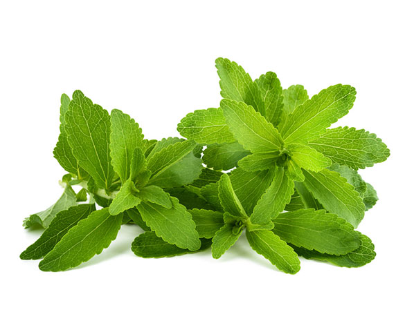 Stevia Extract 